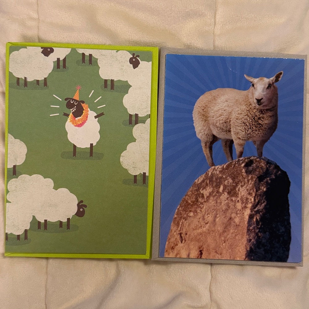 🌻 Shoebox by Hallmark Punny Sheep Birthday Cards Bundle